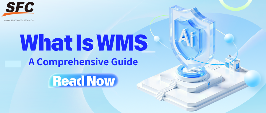 what-is-wms-guide